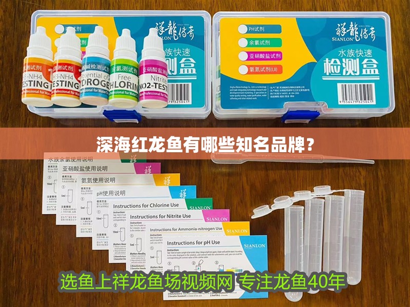 深海紅龍魚有哪些知名品牌？