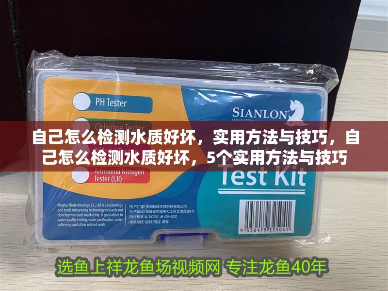 自己怎么檢測(cè)水質(zhì)好壞，實(shí)用方法與技巧，自己怎么檢測(cè)水質(zhì)好壞，5個(gè)實(shí)用方法與技巧