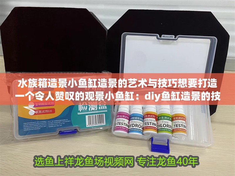 水族箱造景小魚(yú)缸造景的藝術(shù)與技巧想要打造一個(gè)令人贊嘆的觀景小魚(yú)缸：diy魚(yú)缸造景的技巧