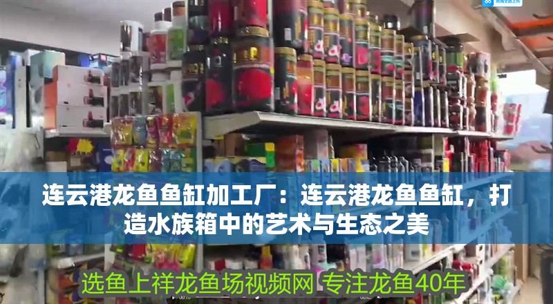 連云港龍魚魚缸加工廠：連云港龍魚魚缸，打造水族箱中的藝術與生態之美