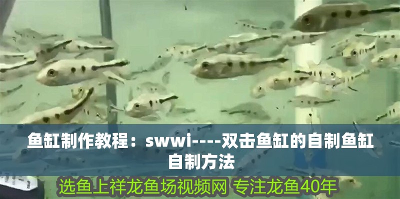 魚缸制作教程：swwi----雙擊魚缸的自制魚缸自制方法