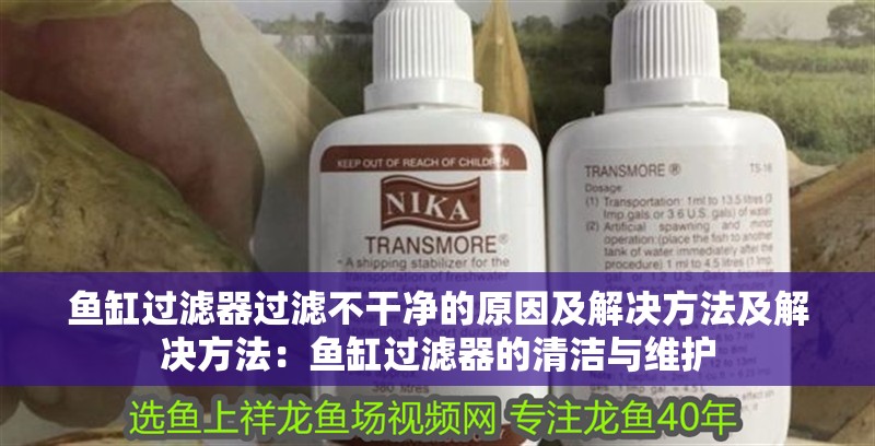魚缸過濾器過濾不干凈的原因及解決方法及解決方法：魚缸過濾器的清潔與維護