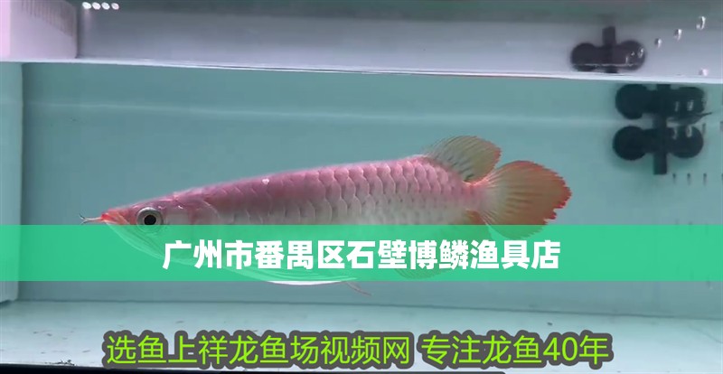 廣州市番禺區(qū)石壁博鱗漁具店