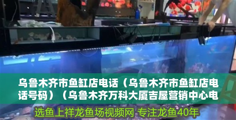 烏魯木齊市魚缸店電話（烏魯木齊市魚缸店電話號碼）（烏魯木齊萬科大廈吉屋營銷中心電話預約看房免費咨詢項目優惠信息）