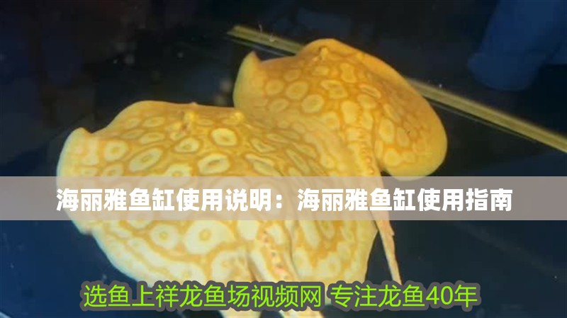 海麗雅魚缸使用說明：海麗雅魚缸使用指南