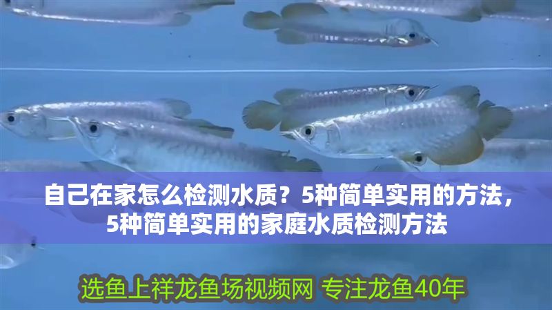 自己在家怎么檢測水質？5種簡單實用的方法，5種簡單實用的家庭水質檢測方法