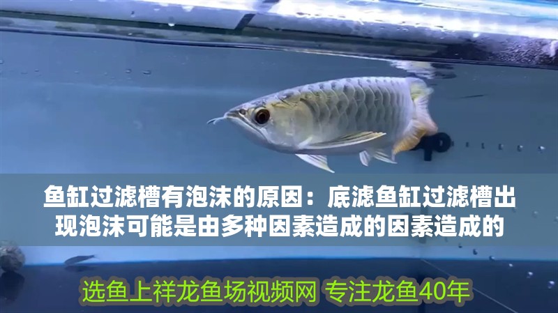 魚缸過濾槽有泡沫的原因：底濾魚缸過濾槽出現(xiàn)泡沫可能是由多種因素造成的因素造成的