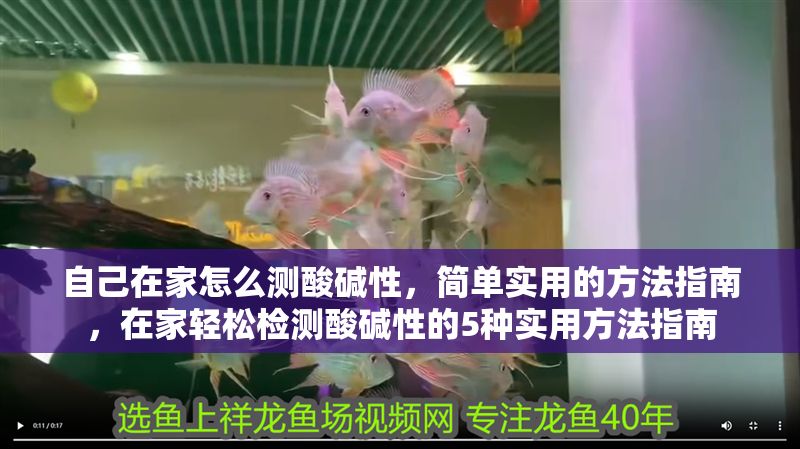 自己在家怎么測酸堿性，簡單實用的方法指南，在家輕松檢測酸堿性的5種實用方法指南