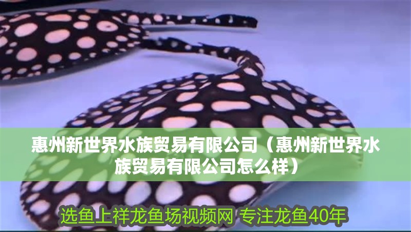 惠州新世界水族貿易有限公司（惠州新世界水族貿易有限公司怎么樣）