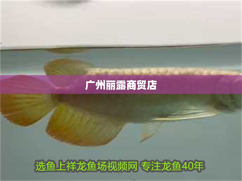 廣州麗露商貿店