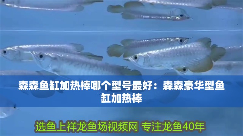 森森魚缸加熱棒哪個型號最好：森森豪華型魚缸加熱棒
