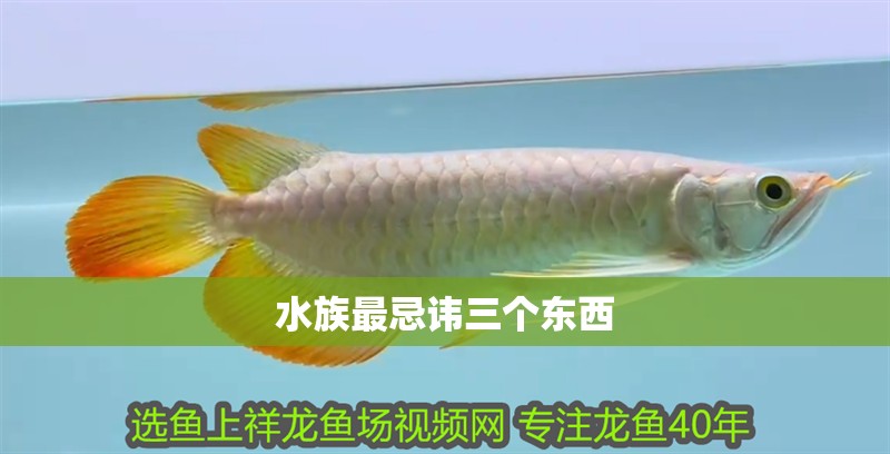 水族最忌諱三個東西