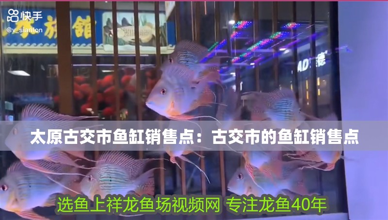 太原古交市魚(yú)缸銷售點(diǎn)：古交市的魚(yú)缸銷售點(diǎn)