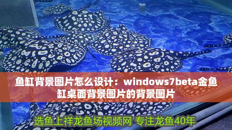 魚缸背景圖片怎么設(shè)計(jì)：windows7beta金魚缸桌面背景圖片的背景圖片