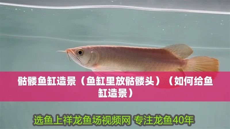 骷髏魚缸造景（魚缸里放骷髏頭）（如何給魚缸造景）