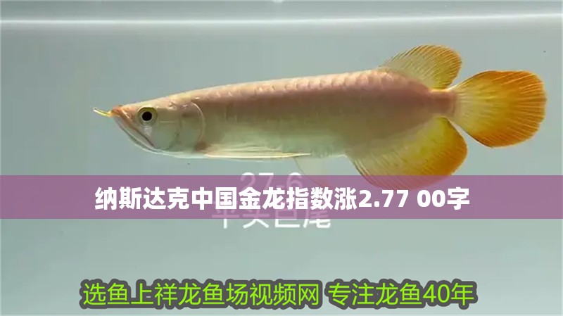 納斯達克中國金龍指數漲2.77 00字