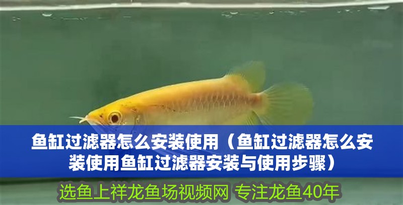 魚缸過濾器怎么安裝使用（魚缸過濾器怎么安裝使用魚缸過濾器安裝與使用步驟）
