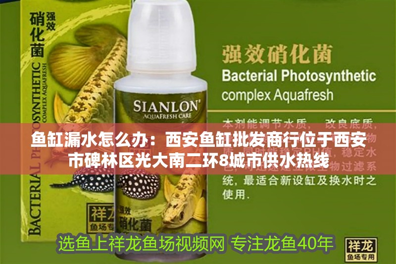 魚缸漏水怎么辦：西安魚缸批發商行位于西安市<strong><mark>碑林</mark></strong>區光大南二環8城市供水熱線