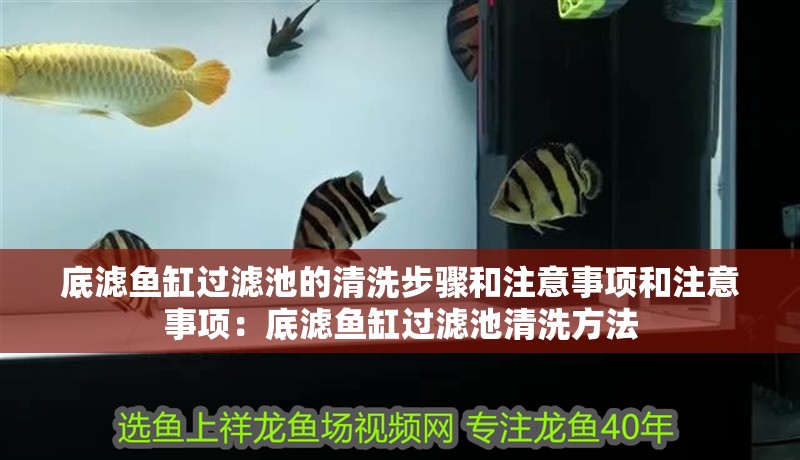 底濾魚缸過濾池的清洗步驟和注意事項和注意事項：底濾魚缸過濾池清洗方法