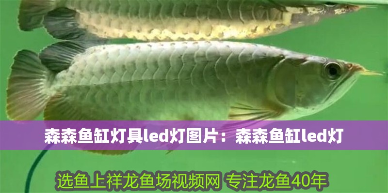 森森魚缸燈具led燈圖片：森森魚缸led燈
