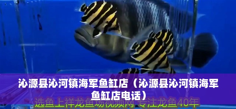 沁源縣沁河鎮(zhèn)海軍魚缸店（沁源縣沁河鎮(zhèn)海軍魚缸店電話）