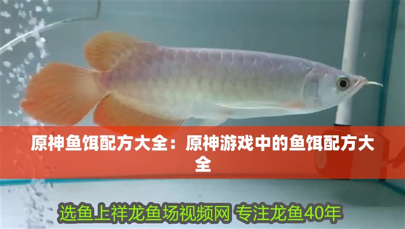 原神魚餌配方大全：原神游戲中的魚餌配方大全