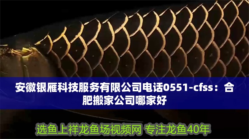 <strong><mark>安徽</mark></strong>銀雁科技服務有限公司電話0551-cfss：合肥搬家公司哪家好