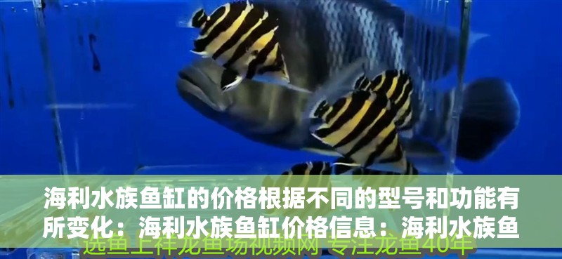 海利水族魚缸的價(jià)格根據(jù)不同的型號(hào)和功能有所變化：海利水族魚缸價(jià)格信息：海利水族魚缸及其價(jià)格信息 海利水族魚缸的價(jià)格根據(jù)不同的型號(hào)和功能有所變化：海利水族魚缸價(jià)格信息：海利水族魚缸及其價(jià)格信息 魚缸百科