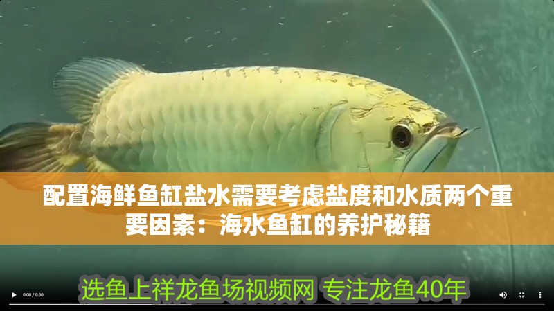 配置海鮮魚缸鹽水需要考慮鹽度和水質兩個重要因素：海水魚缸的養護秘籍