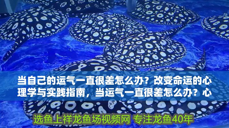 當(dāng)自己的運氣一直很差怎么辦？改變命運的心理學(xué)與實踐指南，當(dāng)運氣一直很差怎么辦？心理學(xué)方法與實用技巧幫你扭轉(zhuǎn)命運