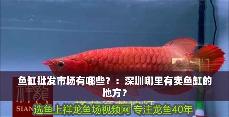 魚缸批發市場有哪些？：深圳哪里有賣魚缸的地方？ 魚缸批發市場有哪些？：深圳哪里有賣魚缸的地方？ 魚缸百科