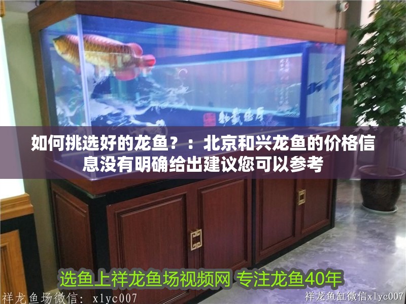 如何挑選好的龍魚？：北京和興龍魚的價格信息沒有明確給出建議您可以參考