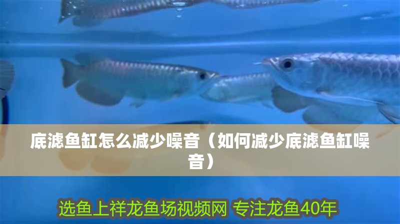 底濾魚缸怎么減少噪音（如何減少底濾魚缸噪音）
