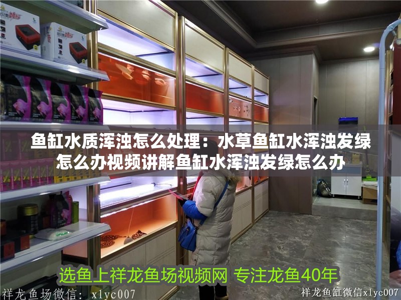 魚缸水質渾濁怎么處理：水草魚缸水渾濁發綠怎么辦視頻講解魚缸水渾濁發綠怎么辦