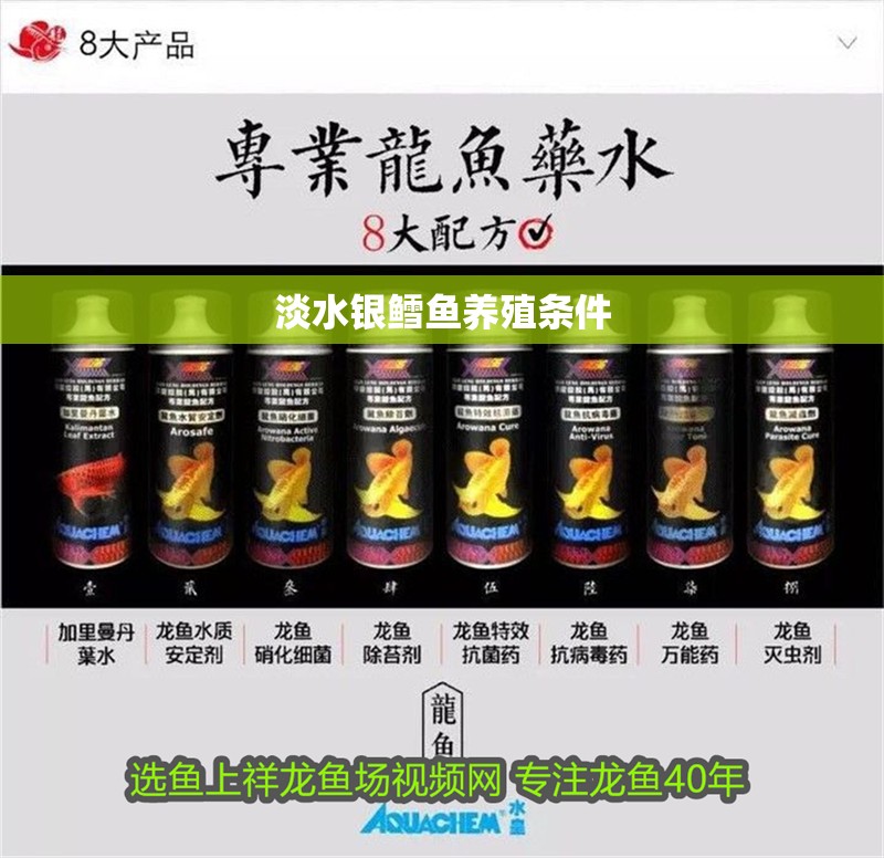 淡水銀鱈魚養(yǎng)殖條件