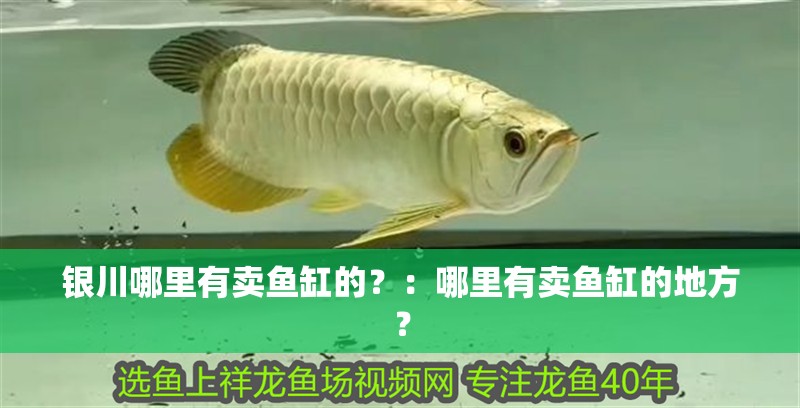銀川哪里有賣魚缸的？：哪里有賣魚缸的地方？