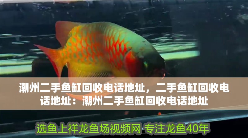 <strong><mark>潮州</mark></strong>二手魚缸回收電話地址，二手魚缸回收電話地址：<strong><mark>潮州</mark></strong>二手魚缸回收電話地址