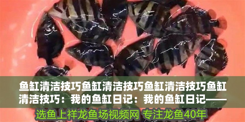 魚缸清潔技巧魚缸清潔技巧魚缸清潔技巧魚缸清潔技巧：我的魚缸日記：我的魚缸日記——