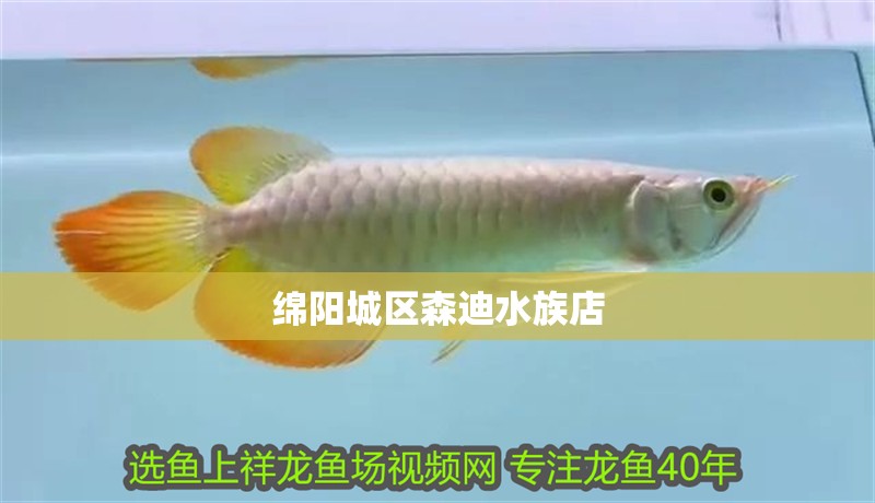 綿陽城區森迪水族店