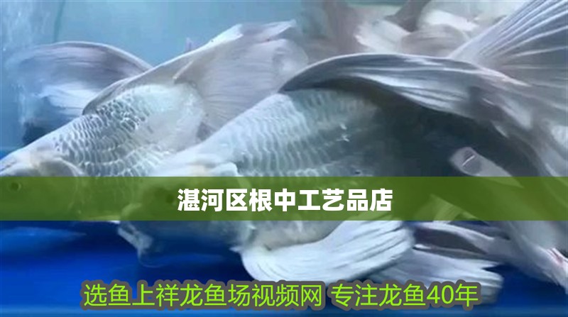 湛河區(qū)根中工藝品店
