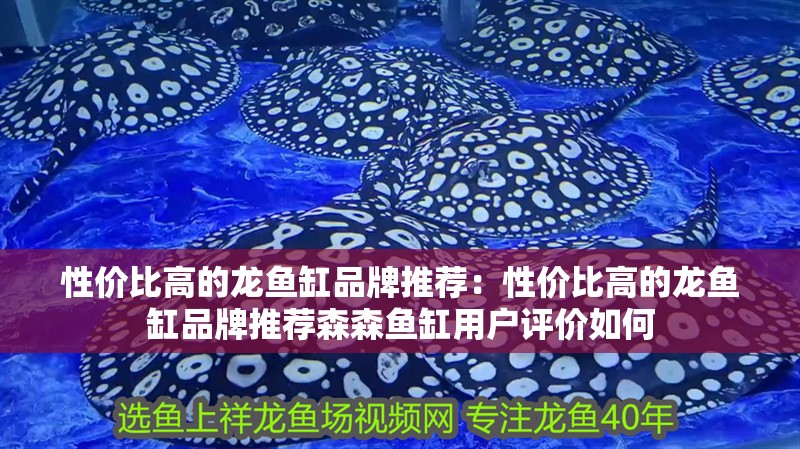 性價比高的龍魚缸品牌推薦：性價比高的龍魚缸品牌推薦森森魚缸用戶評價如何