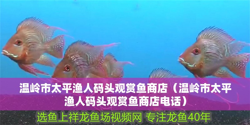 溫嶺市太平漁人碼頭觀賞魚商店（溫嶺市太平漁人碼頭觀賞魚商店電話）
