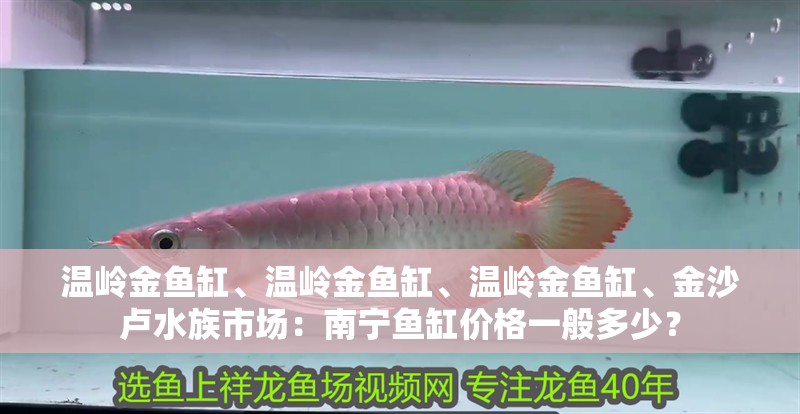 溫嶺金魚缸、溫嶺金魚缸、溫嶺金魚缸、金沙盧水族市場：南寧魚缸價格一般多少？