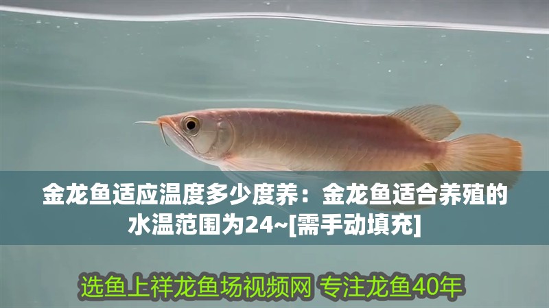 金龍魚適應(yīng)溫度多少度養(yǎng)：金龍魚適合養(yǎng)殖的水溫范圍為24~[需手動填充]