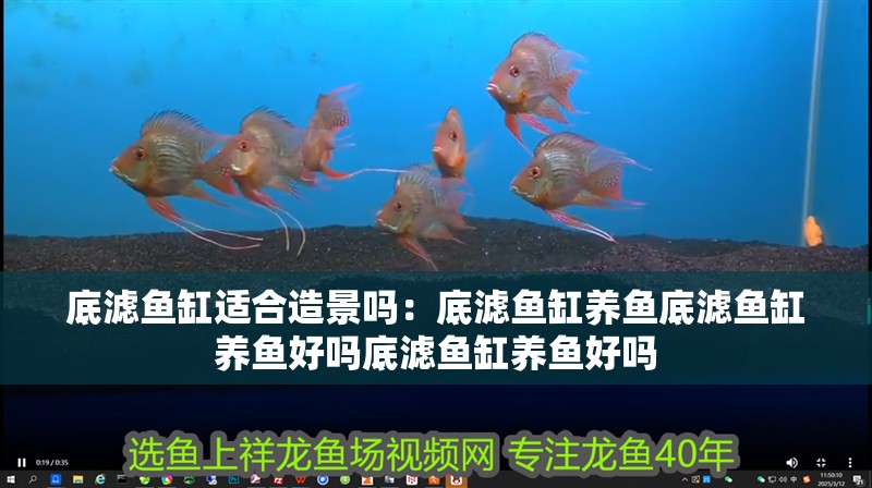 底濾魚缸適合造景嗎：底濾魚缸養魚底濾魚缸養魚好嗎底濾魚缸養魚好嗎