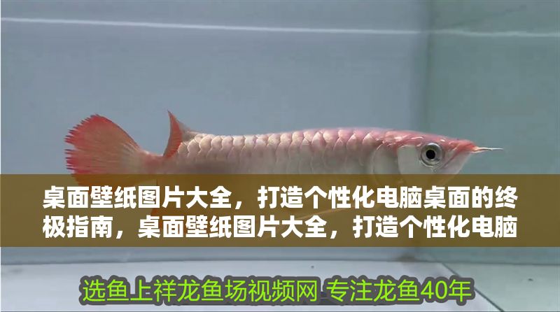 桌面壁紙圖片大全，打造個性化電腦桌面的終極指南，桌面壁紙圖片大全，打造個性化電腦桌面的終極指南