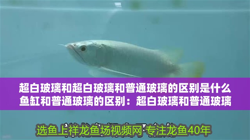 超白玻璃和超白玻璃和普通玻璃的區(qū)別是什么魚(yú)缸和普通玻璃的區(qū)別：超白玻璃和普通玻璃和超白玻璃的區(qū)別是什么魚(yú)缸和普通玻璃的區(qū)別