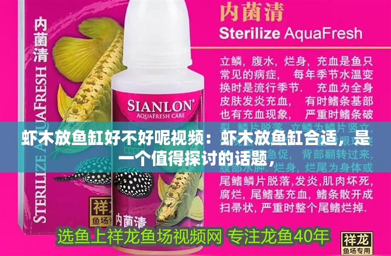 蝦木放魚缸好不好呢視頻：蝦木放魚缸合適，是一個值得探討的話題，