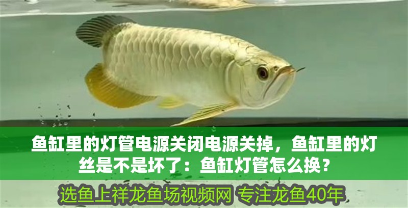 魚缸里的燈管電源關閉電源關掉，魚缸里的燈絲是不是壞了：魚缸燈管怎么換？