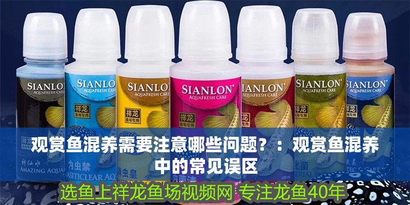 觀賞魚混養需要注意哪些問題？：觀賞魚混養中的常見誤區